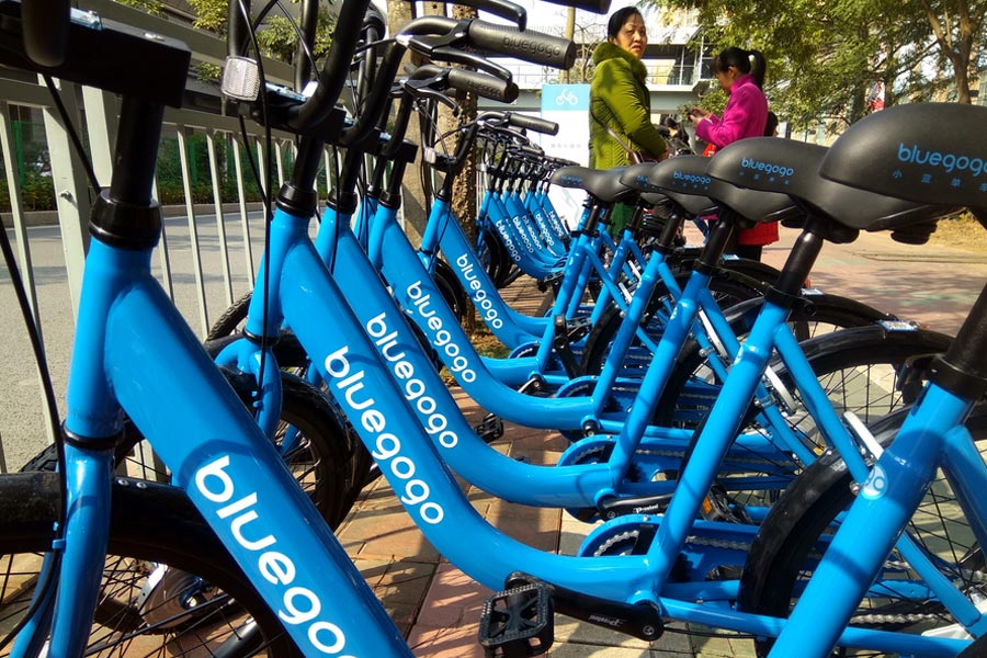 Growth and competition: The rapid expansion of bike-sharing sector