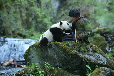 Pandering to every whim - a real panda movie!