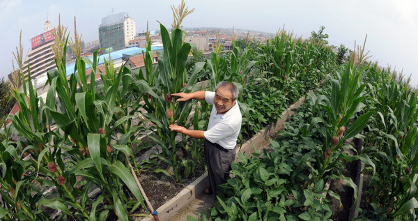 This happy rooftop farmer is a trendsetter, and if the 'garden city' concept takes off, many more will reap the rewards of self-sufficiency in the city. Zhang Yanlin / for China Daily Country in City