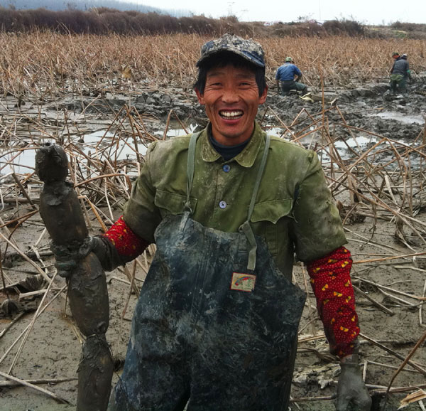 Liu Jigang displays a lotus root he just dug up in Hualian Lake in Wuhan, Hubei province. Guo Rui / China Daily Getting to the root of it