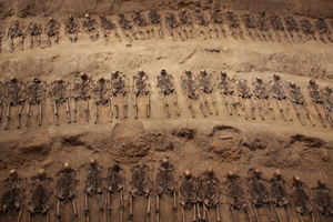 Special: Files shed new light on Japanese atrocities