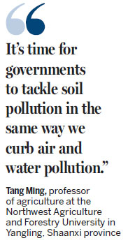 China vows to root out soil pollution