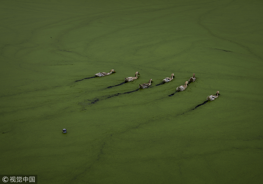 Ten photos from across China: Nov 3 - Nov 9