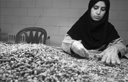 Iran and US facing 'pistachio war'