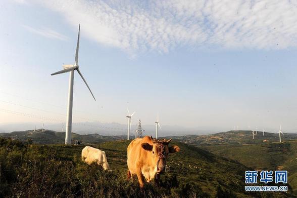 從生態文明看科學發展
