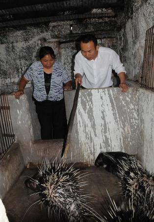 大學生“村官”邢鐳：山村群眾的貼心人