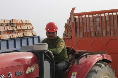山東援疆:正在實施的一場深刻變革