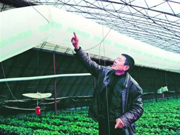 【新春走基層】老謝家的吸“氧”草莓不夠賣(mài)