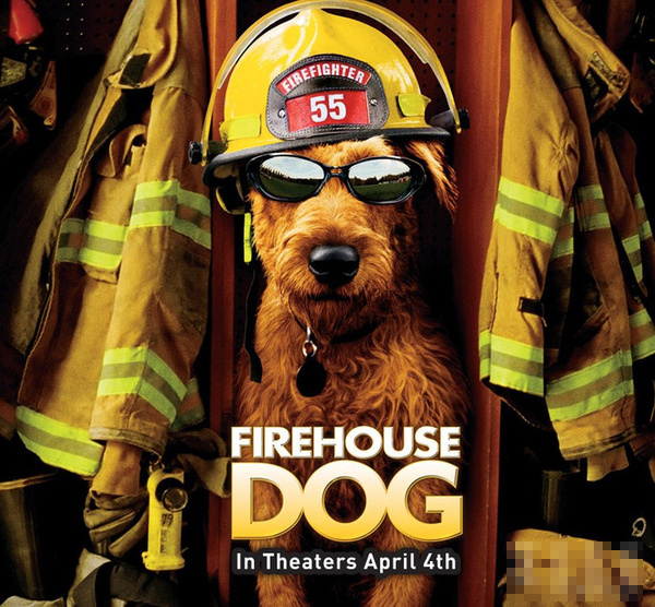 盤點30只最讓人難忘狗狗角色：萌度絕不輸俊介