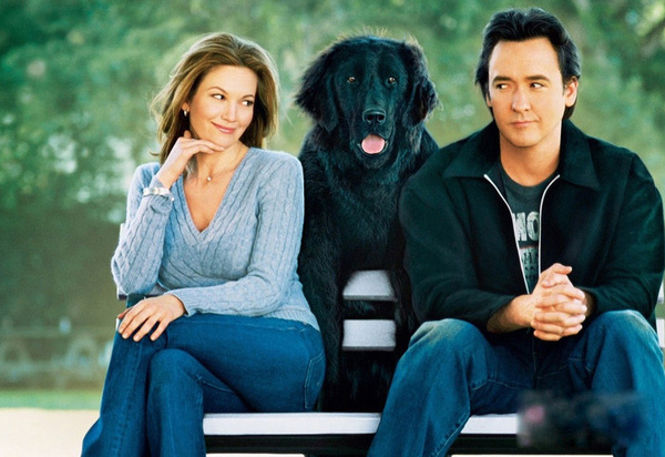 盤點30只最讓人難忘狗狗角色：萌度絕不輸俊介