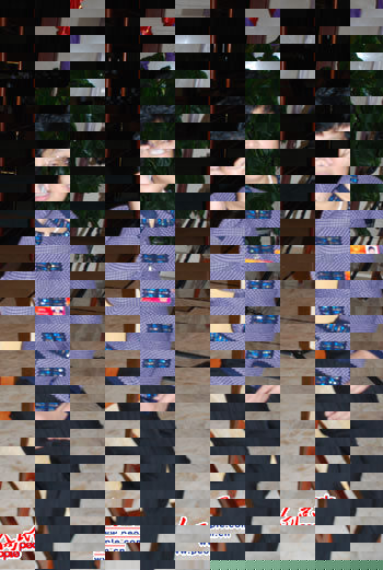 遲夙生代表：對民訴法草案的三點建議