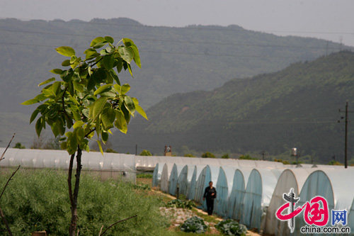 被沼氣改變的天雄村：廣元低碳重建的農(nóng)業(yè)樣本