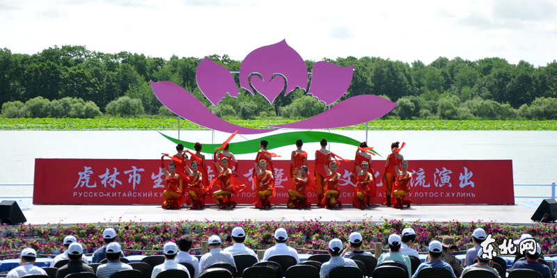 虎林市生態(tài)荷花節(jié)開幕 千畝野荷競綻放