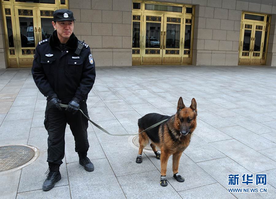 警犬“助陣”兩會安保工作：大會堂內(nèi)細致檢查
