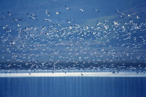 鄱陽：風光旖旎 詩情畫意