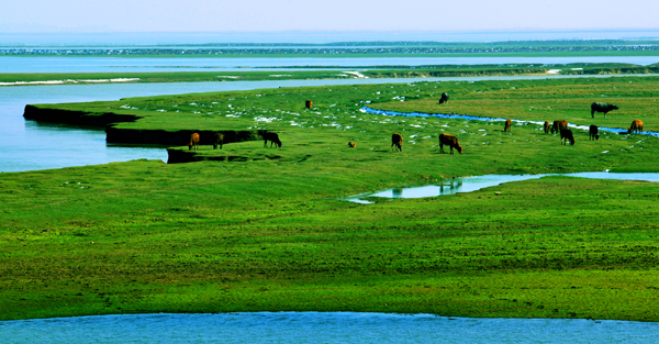 鄱陽:風(fēng)光旖旎 詩(shī)情畫意