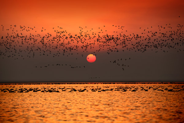 鄱陽(yáng)：風(fēng)光旖旎 詩(shī)情畫意