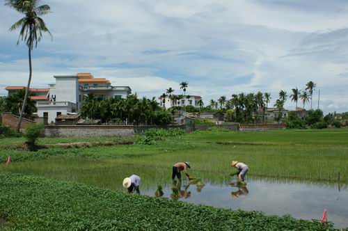 黃流名村——佛老