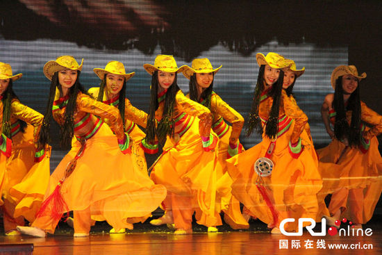 中國夢·非洲夢 尼日利亞2014年華僑華人新春聯歡會隆重舉行