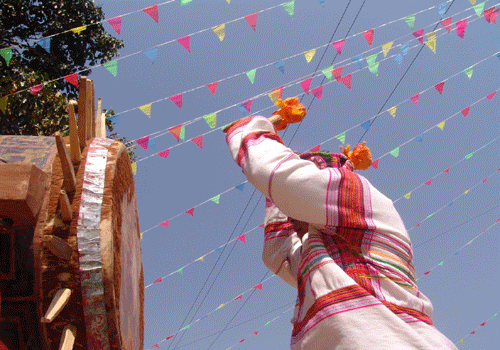 特懋克節：擂動基諾山寨
