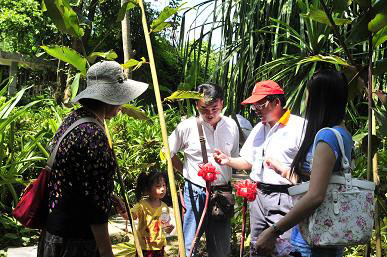 科學家版納植物園做導游