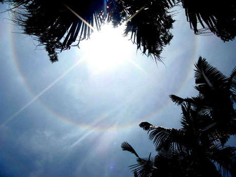 福州市上空突現(xiàn)日暈奇觀 專家稱實(shí)屬少見