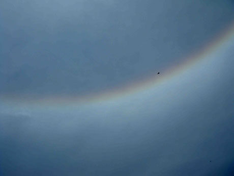 福州市上空突現(xiàn)日暈奇觀 專家稱實(shí)屬少見