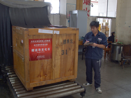 云南省向中國科技館贈送三具恐龍化石