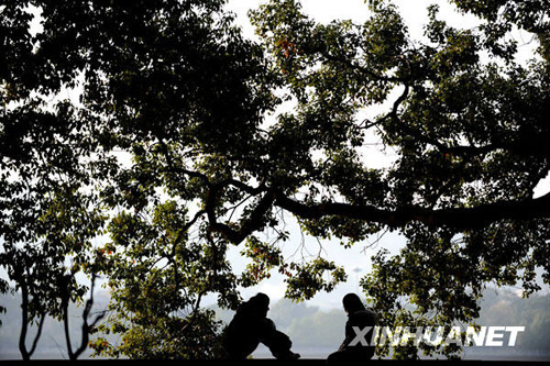 長沙氣溫驟升 冬暖如春