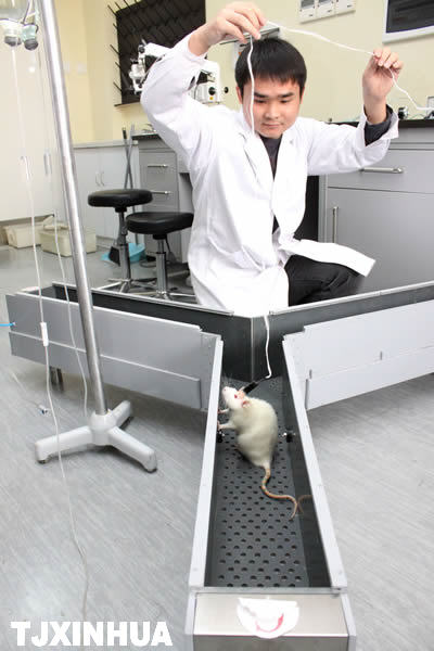 天津神經(jīng)工程研究中心成立