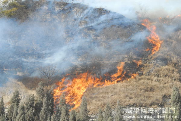 云南曲靖撲滅突發(fā)山火