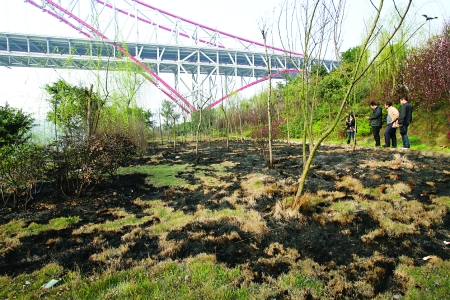 市民游玩地南濱路草坪因何起火？人為還是自燃？