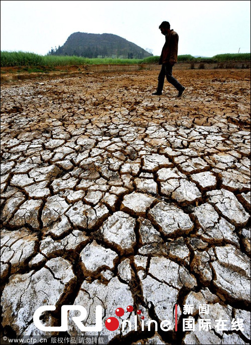 云南遭遇大旱 焦渴無(wú)奈地縫覓水(組圖)