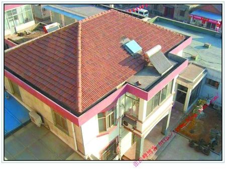 江蘇一縣委組織部副部長建豪宅遭免(圖)