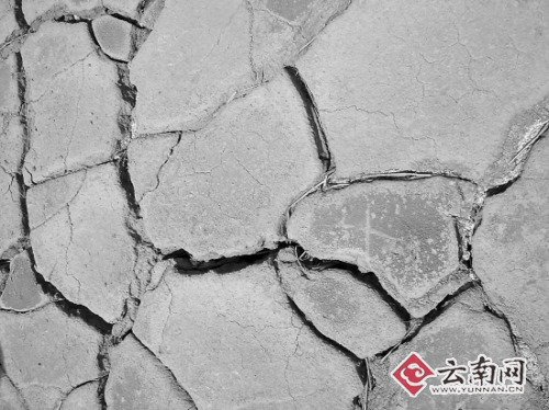 云南旱區(qū)裂縫能伸手掌 10小時(shí)拉趟水急哭村民
