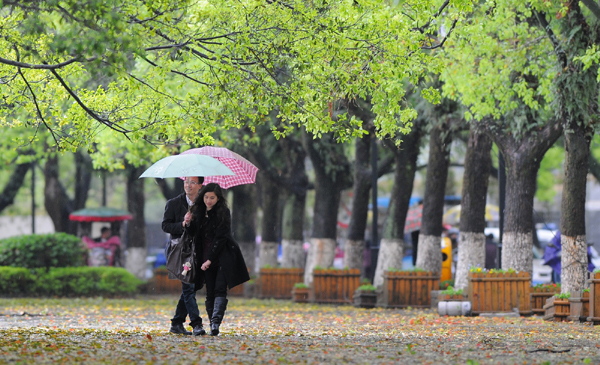 桂林春雨知時節