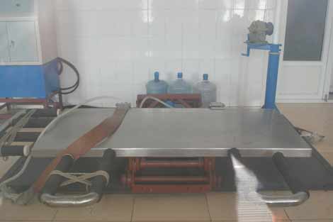 哈爾濱北方森林動物園園長回應(yīng)動物生存狀況問題