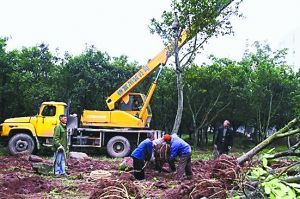 重慶人大代表無(wú)償捐65畝開發(fā)地 價(jià)值2億元
