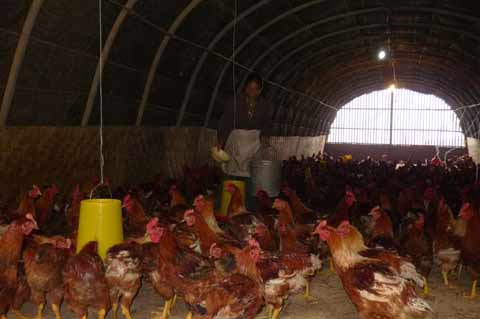 黃家村：“通路，通思路”