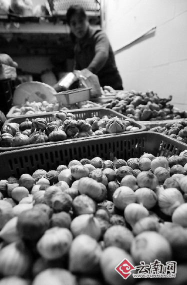 新蒜已賣空 蒜價卻未落全國又現漲價潮 我省市場漲幅小