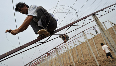 山西啟動(dòng)百萬畝設(shè)施蔬菜計(jì)劃