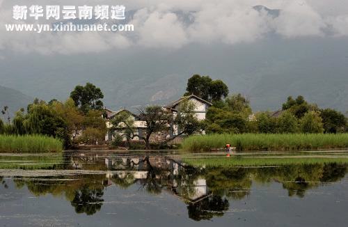 大理濕地保護見成效