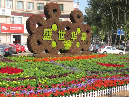 600萬盆鮮花扮靚泉城濟南（圖）