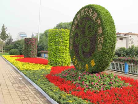 600萬盆鮮花扮靚泉城濟南（圖）