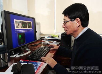 中國科學家在昆明成功培育出國內首例轉基因獼猴