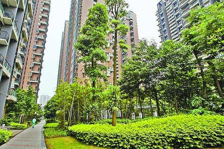 2010年 重慶市容 蝶變