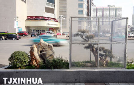 戶外植物“陽(yáng)光房”里溫暖過冬天