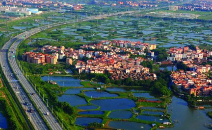 佛山南莊鎮(zhèn)：“反面教材”轉(zhuǎn)“正”記