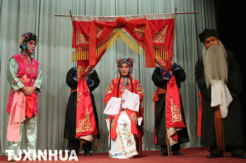 津門大學生演繹國粹魅力