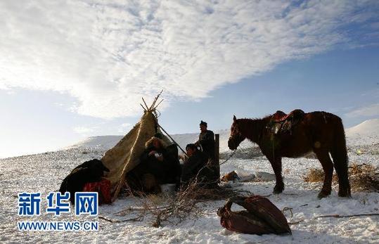 新疆阿勒泰百萬牲畜大轉場